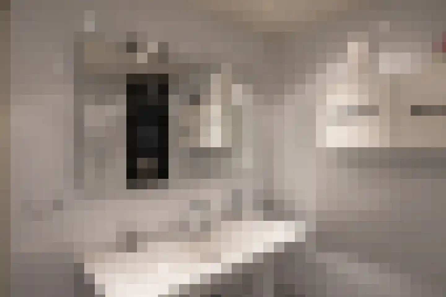 Produktieweg 11 Hoogezand thumbnail 46