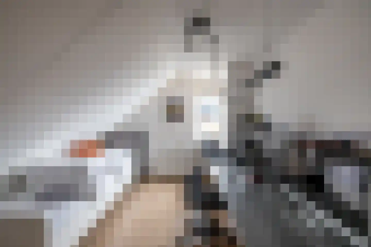 Produktieweg 11 Hoogezand thumbnail 47