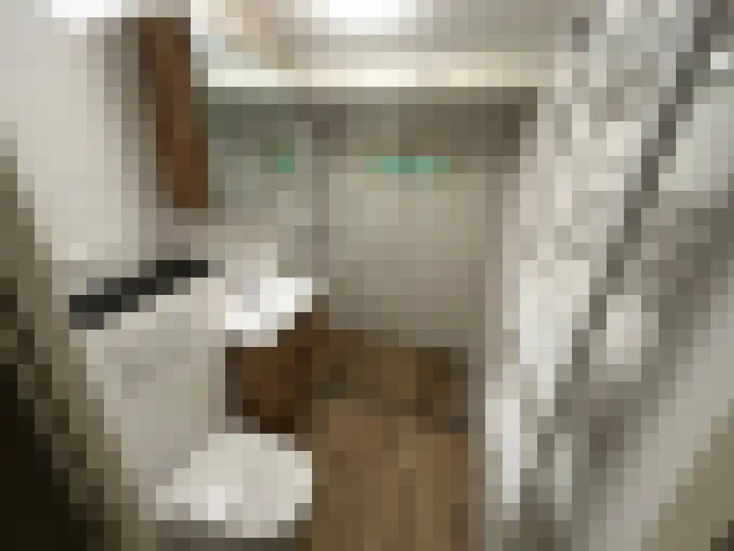Proefpolder 103 Andijk thumbnail 12