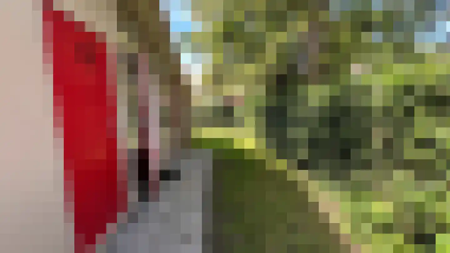 Proefpolder 103 Andijk thumbnail 18