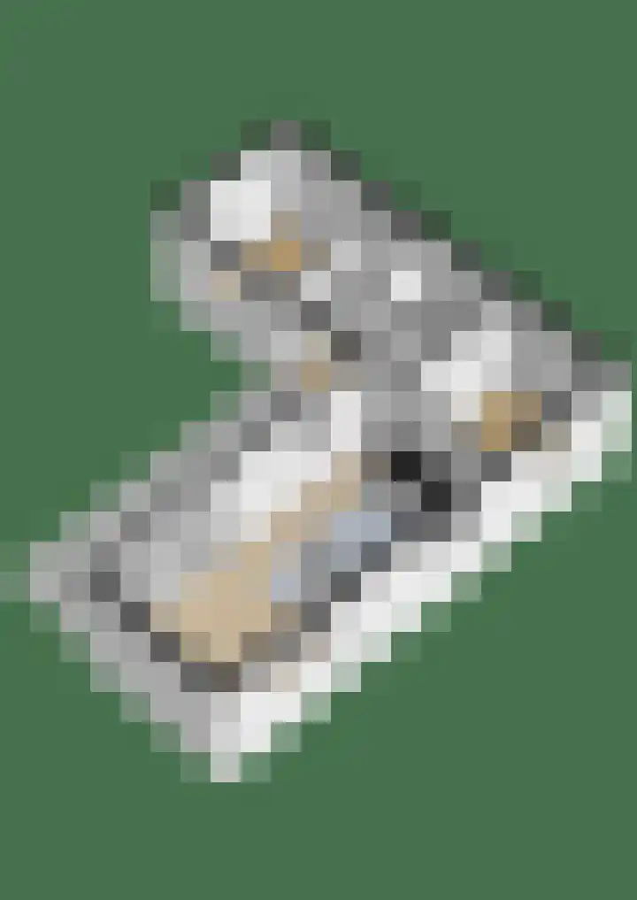 Proefpolder 138 Andijk thumbnail 13