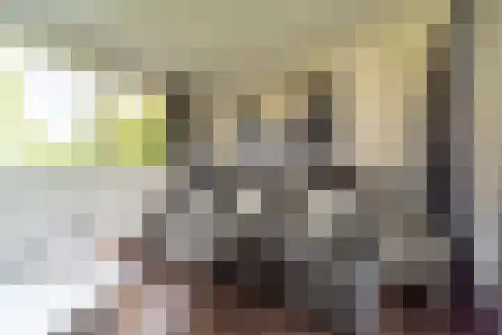Proefpolder 138 Andijk thumbnail 23