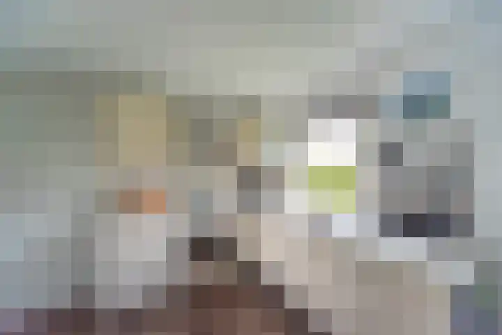 Proefpolder 138 Andijk thumbnail 26