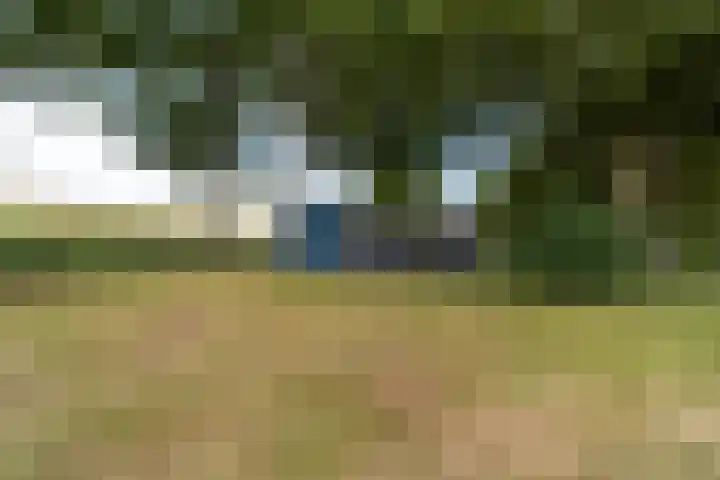 Proefpolder 138 Andijk thumbnail 4