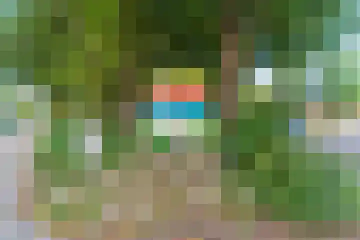 Proefpolder 138 Andijk thumbnail 41