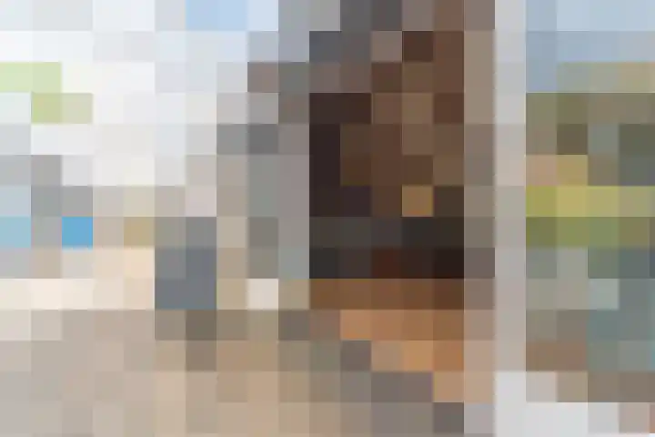 Proefpolder 138 Andijk thumbnail 45