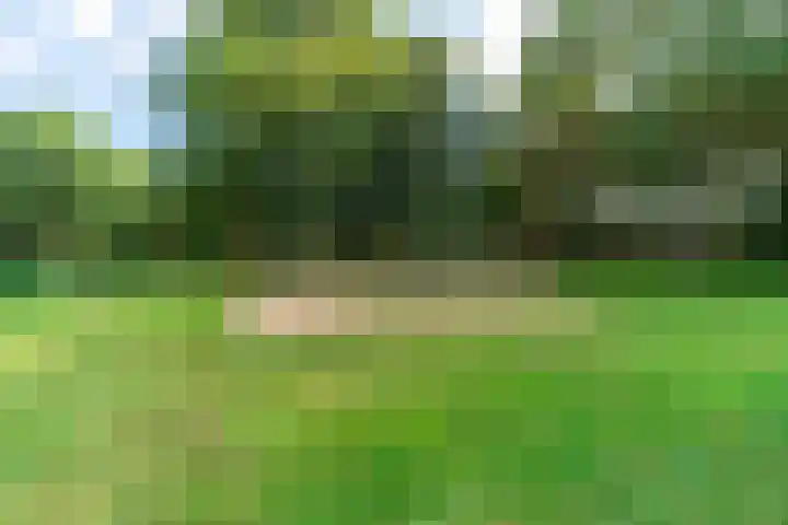 Proefpolder 138 Andijk thumbnail 48