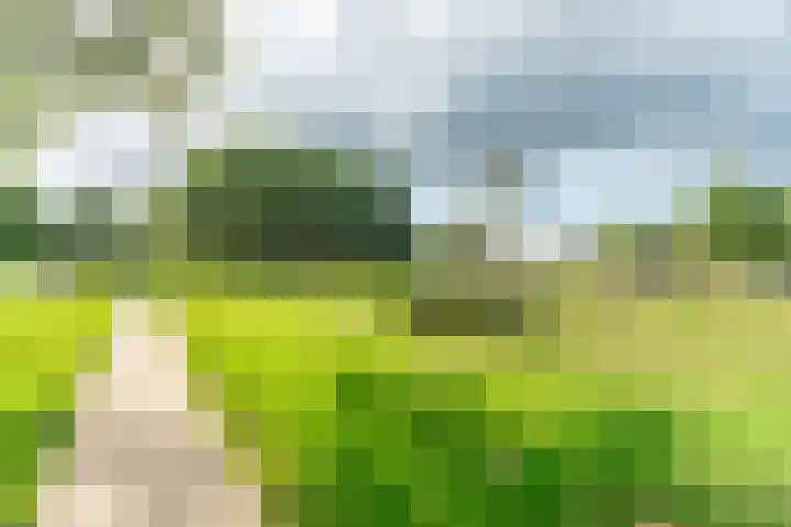 Proefpolder 138 Andijk thumbnail 49