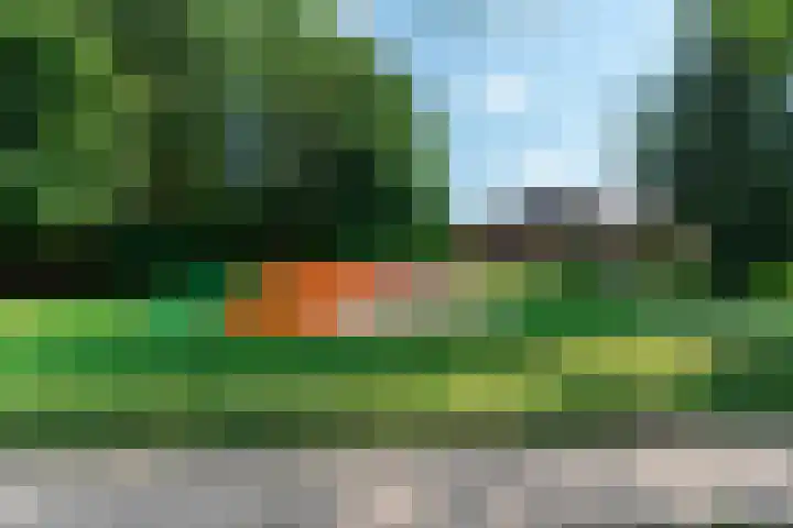 Proefpolder 138 Andijk thumbnail 50