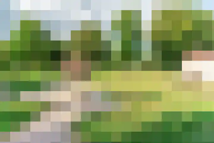 Proefpolder 138 Andijk thumbnail 52