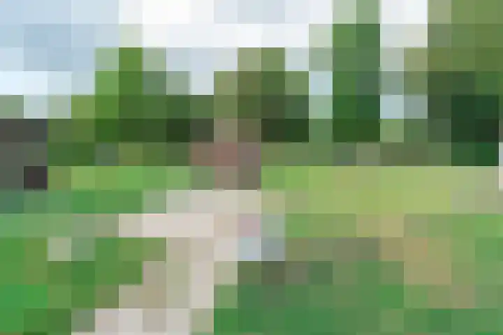 Proefpolder 138 Andijk thumbnail 53
