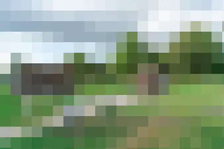 Proefpolder 138 Andijk thumbnail 54