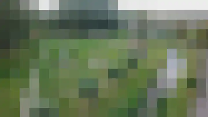 Proefpolder 138 Andijk thumbnail 55