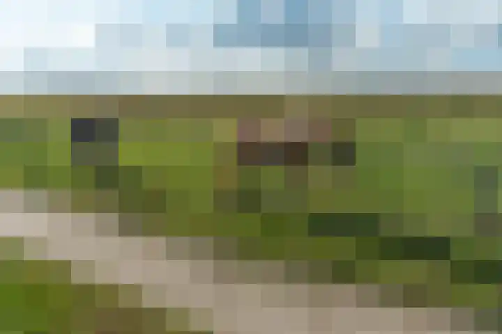 Proefpolder 138 Andijk thumbnail 59