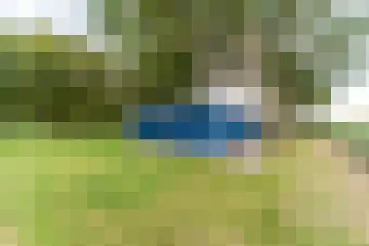 Proefpolder 138 Andijk thumbnail 6