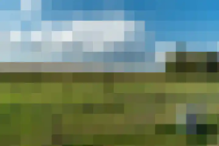 Proefpolder 138 Andijk thumbnail 60