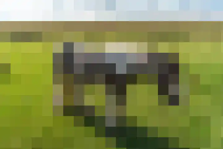 Proefpolder 138 Andijk thumbnail 61