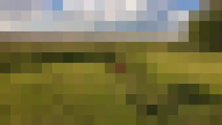 Proefpolder 138 Andijk thumbnail 63