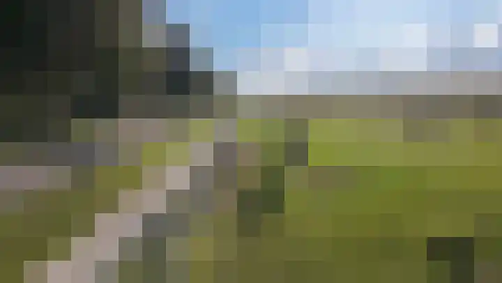 Proefpolder 138 Andijk thumbnail 64