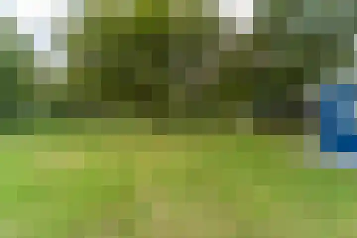 Proefpolder 138 Andijk thumbnail 7