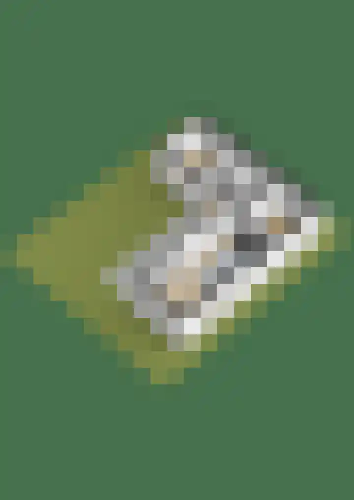 Proefpolder 138 Andijk thumbnail 70