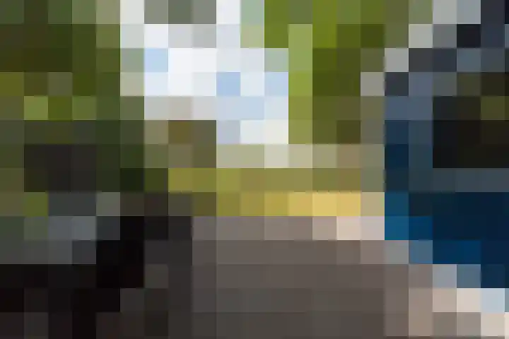 Proefpolder 138 Andijk thumbnail 8