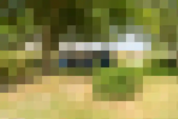 Proefpolder 138 Andijk thumbnail 9