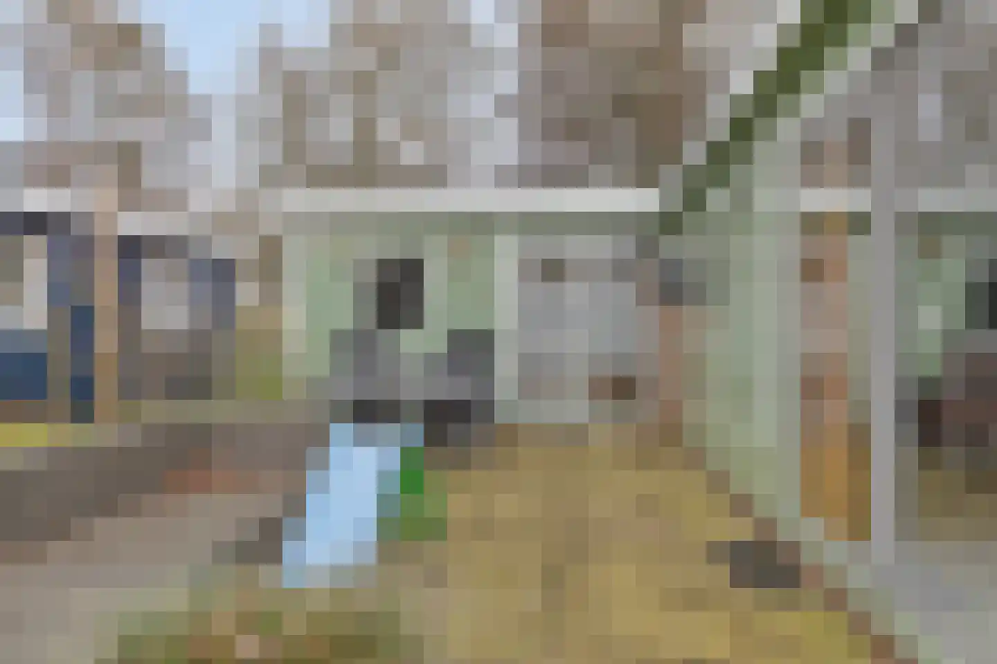 Proefpolder 234 Andijk thumbnail 20