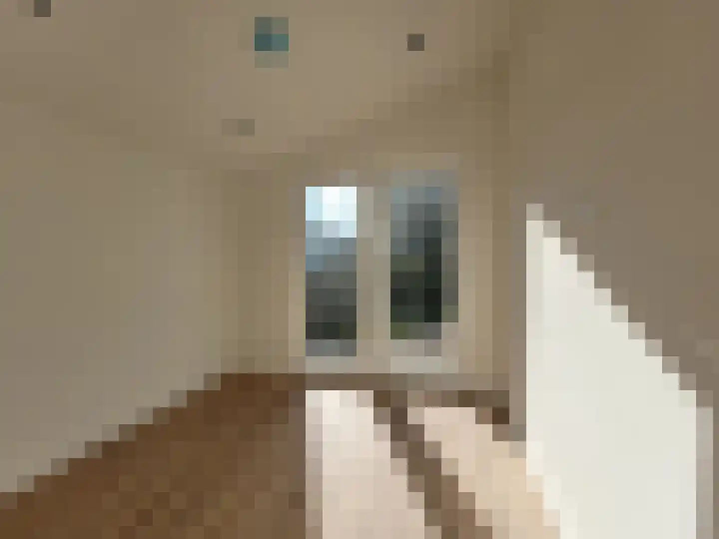 Proefpolder 282 Andijk thumbnail 12