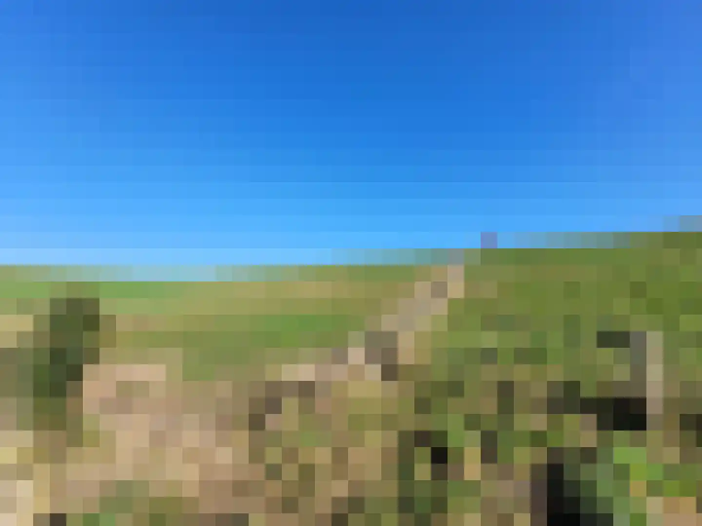 Proefpolder 282 Andijk thumbnail 21