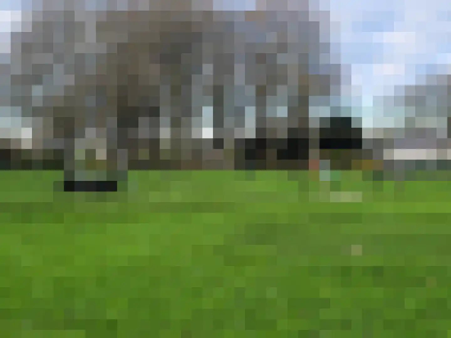 Proefpolder 282 Andijk thumbnail 28