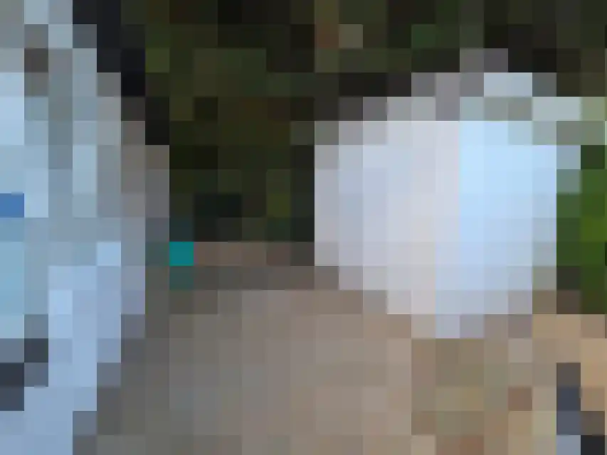 Proefpolder 4 105 Andijk thumbnail 10