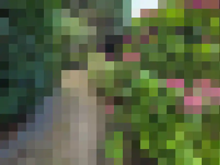Proefpolder 4 105 Andijk thumbnail 13