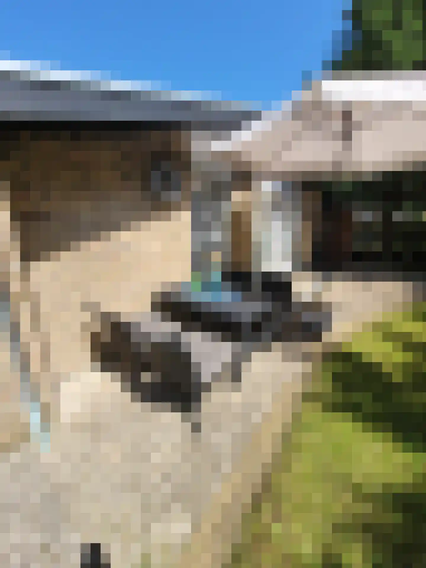 Proefpolder 4 105 Andijk thumbnail 17