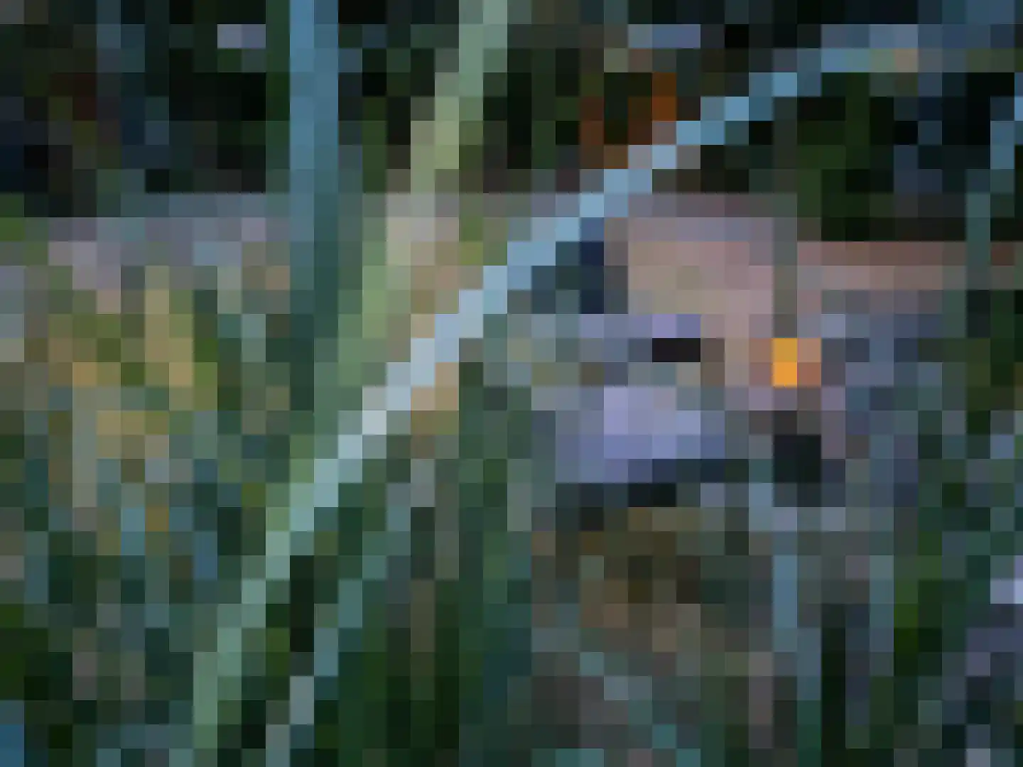 Proefpolder 4 105 Andijk thumbnail 18