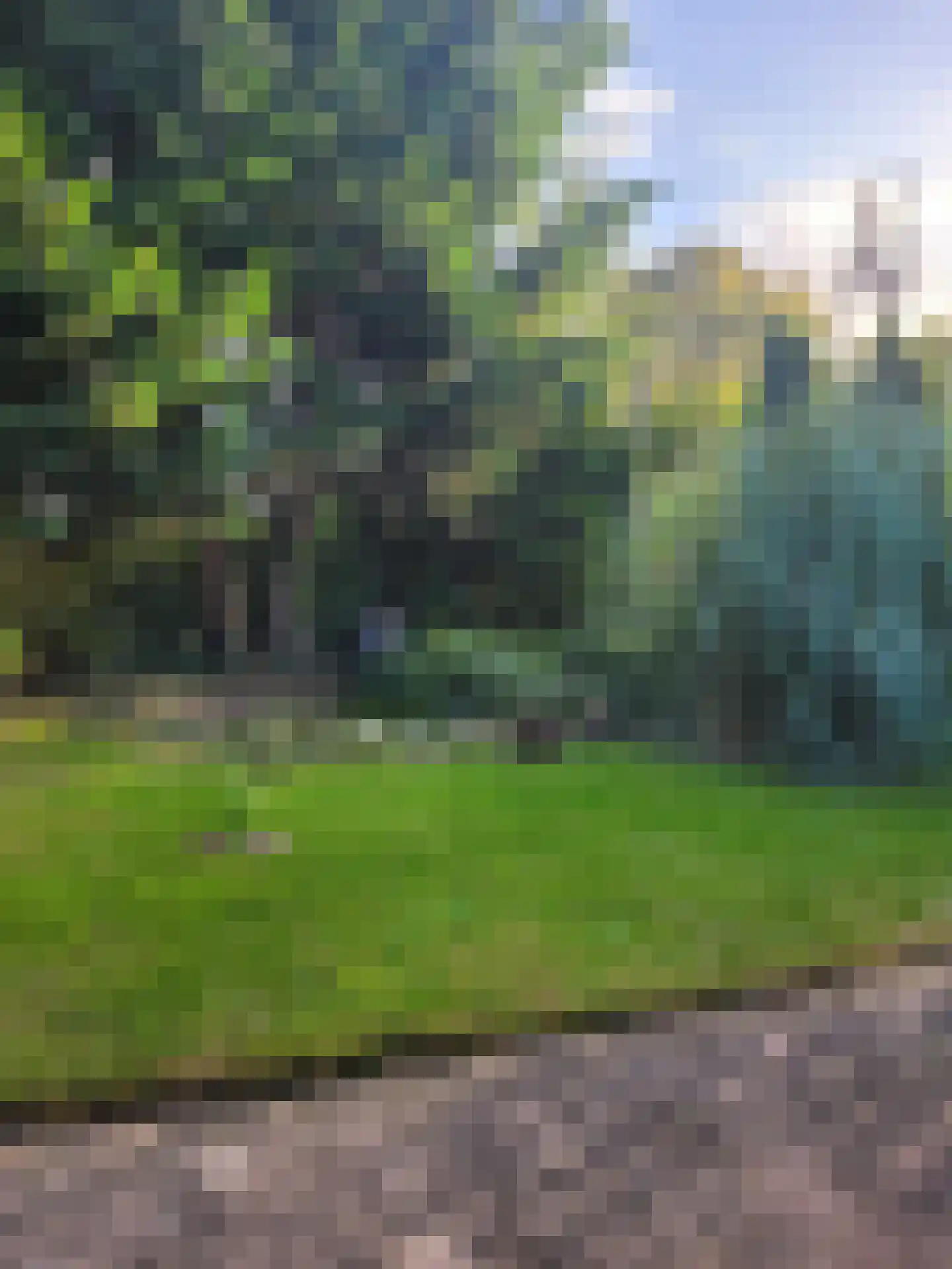 Proefpolder 4 105 Andijk thumbnail 19