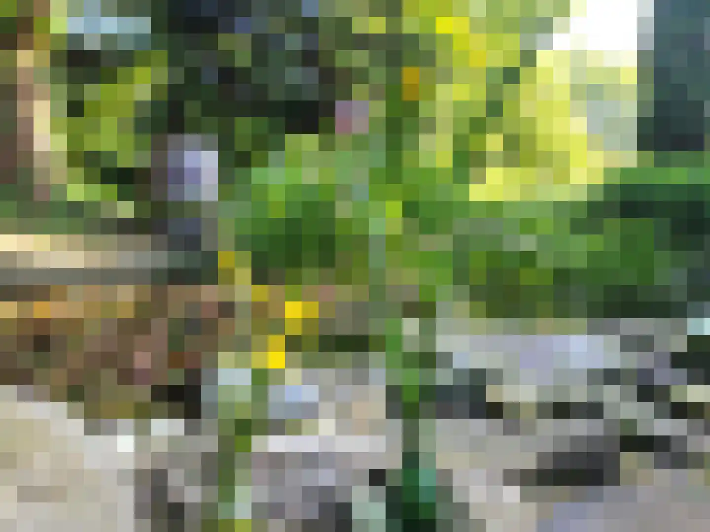Proefpolder 4 105 Andijk thumbnail 20
