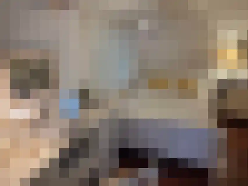 Proefpolder 4 105 Andijk thumbnail 5