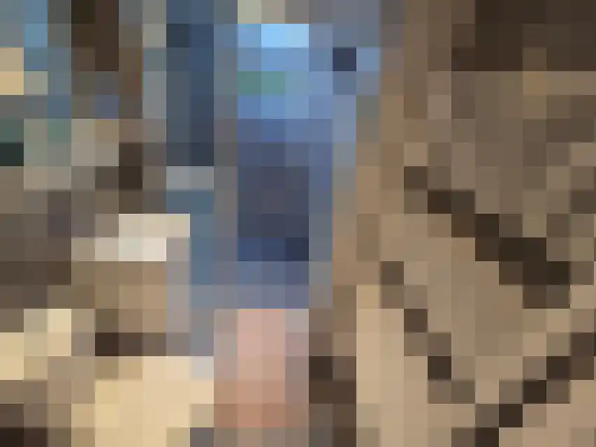 Proefpolder 4 105 Andijk thumbnail 7
