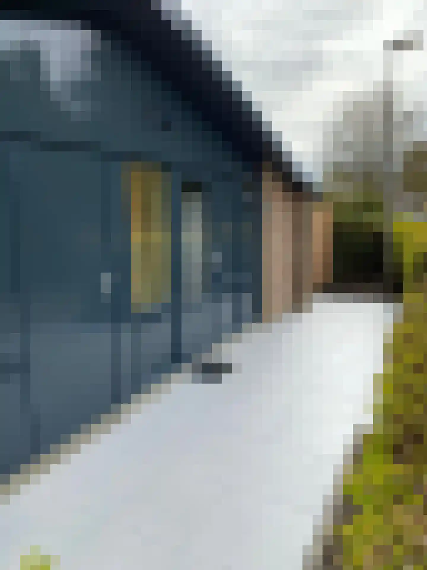 Proefpolder 4 97 Andijk thumbnail 11
