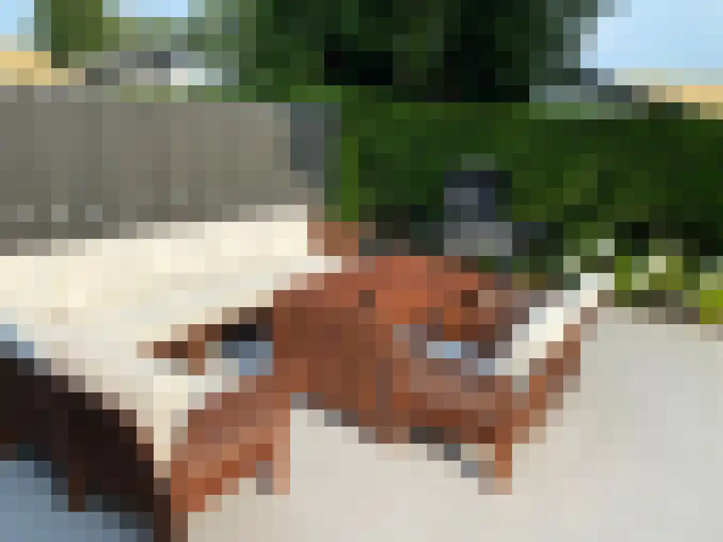 Proefpolder 4 97 Andijk thumbnail 12