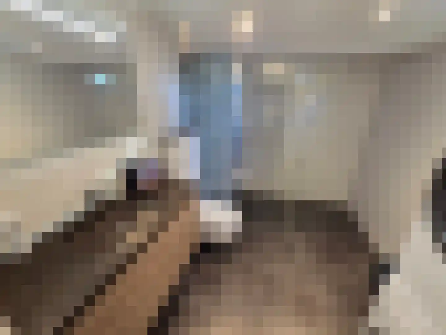 Proefpolder 4 97 Andijk thumbnail 8