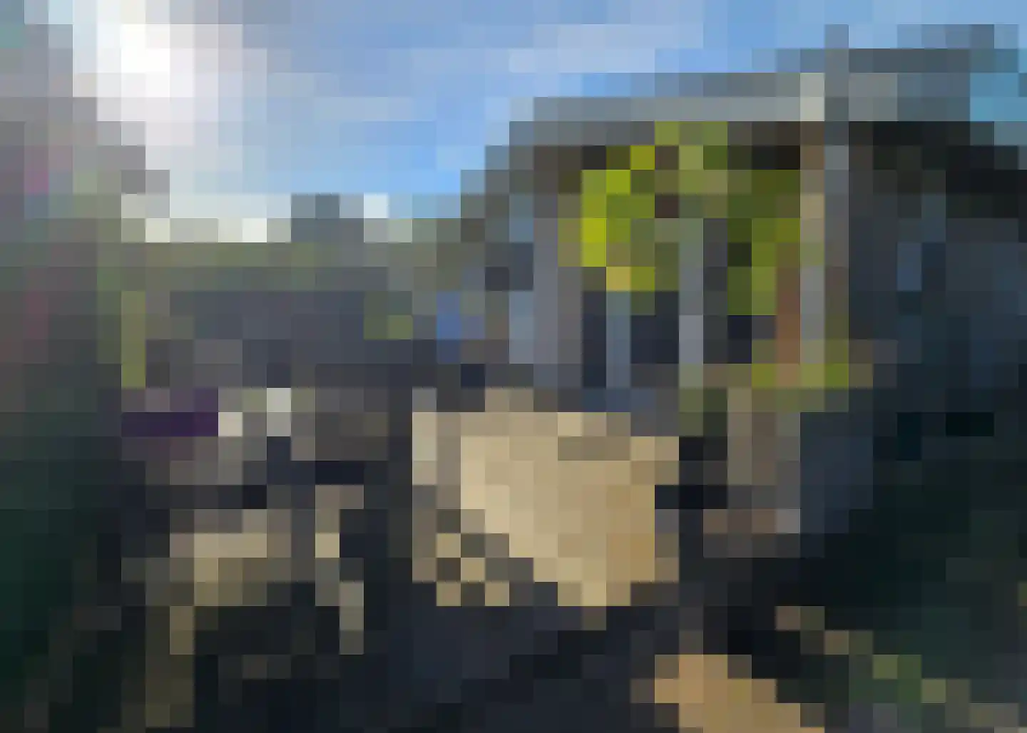 Proefpolder 4 98 Andijk thumbnail 17
