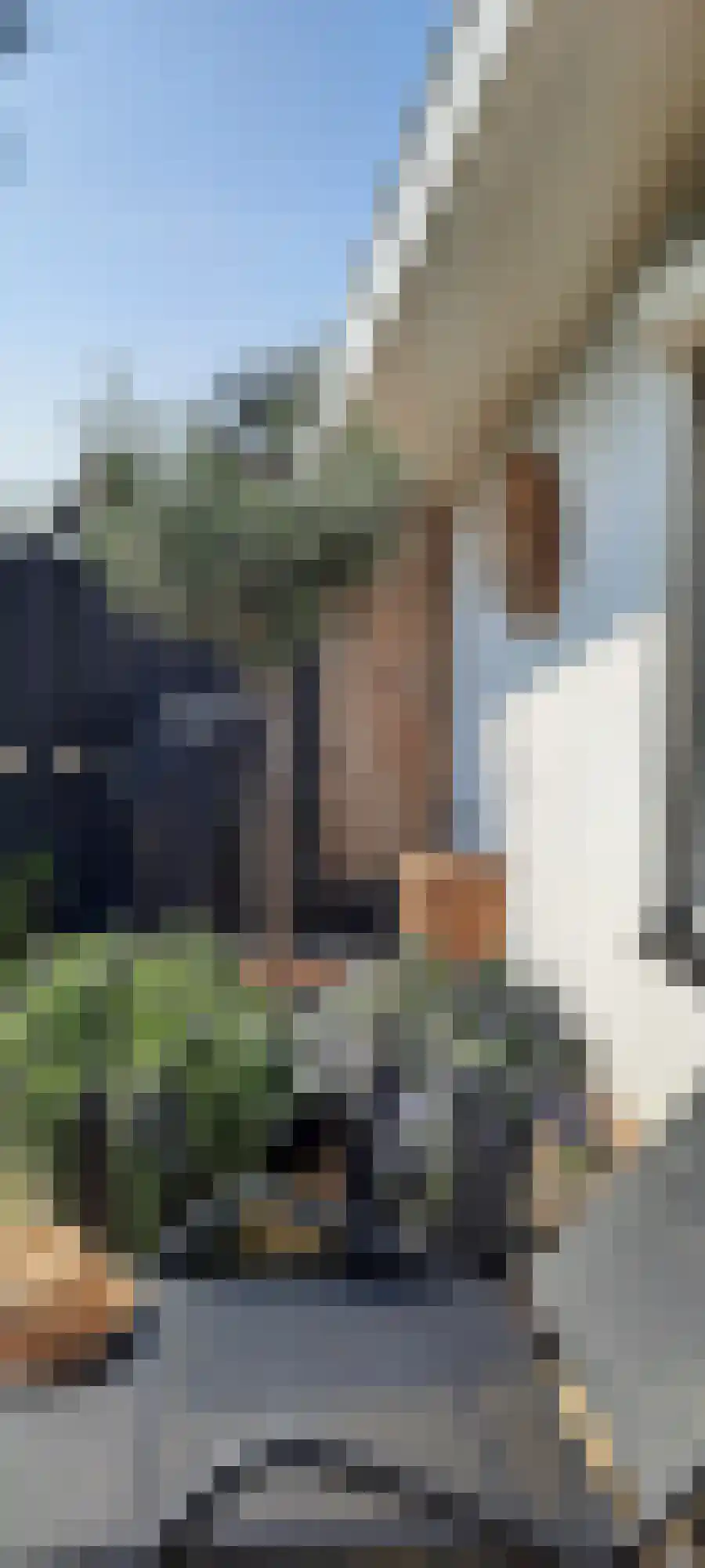 Proefpolder 4 98 Andijk thumbnail 18