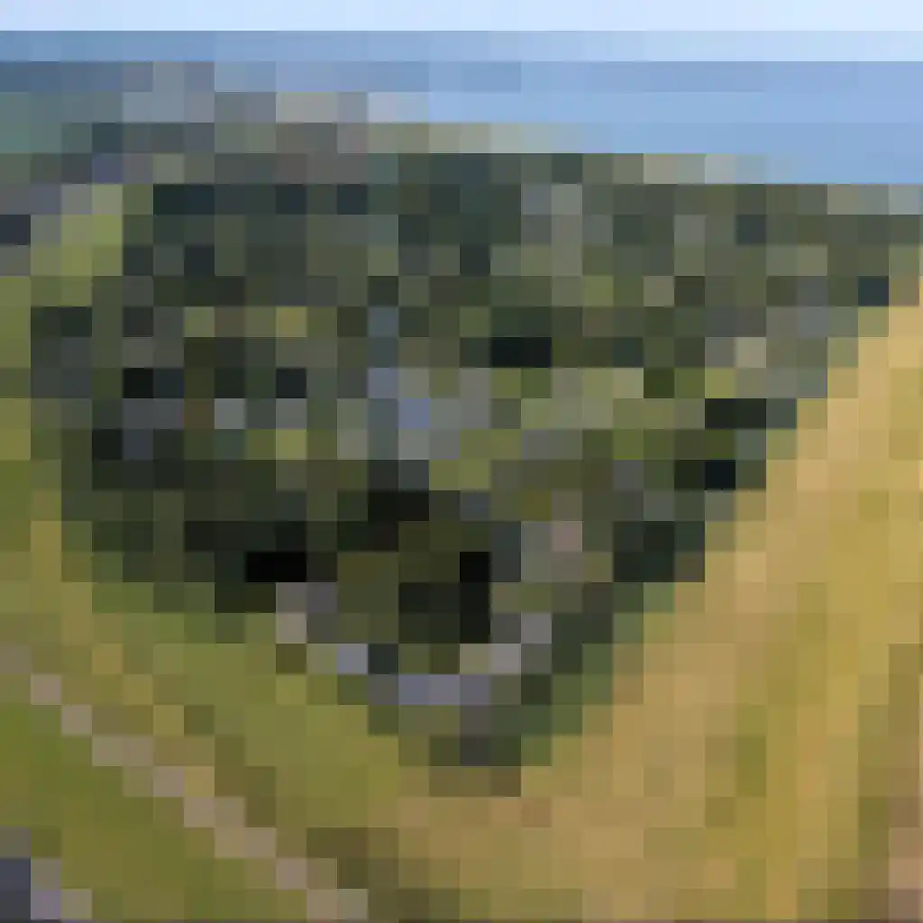 Proefpolder 4 98 Andijk thumbnail 22