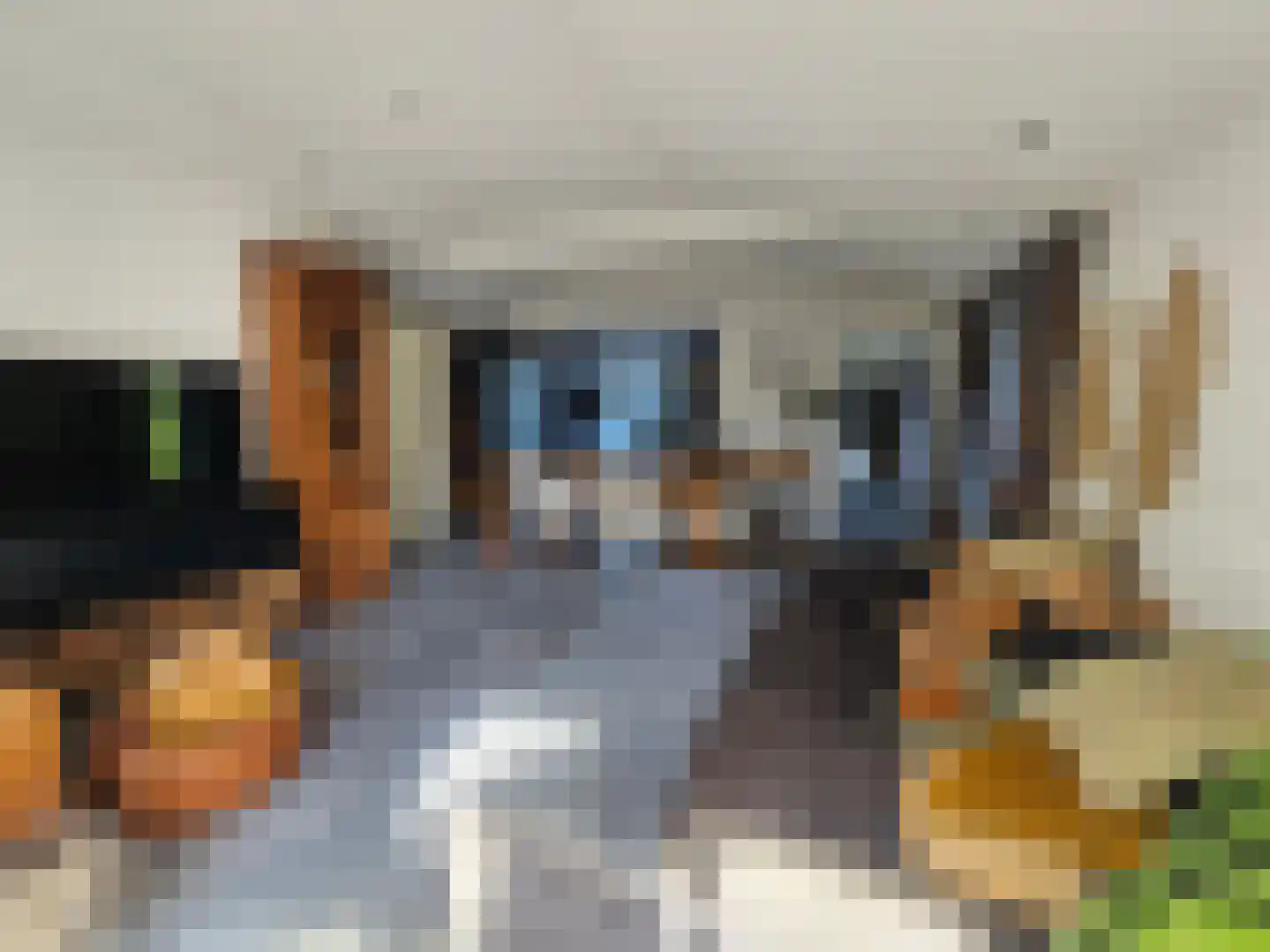 Proefpolder 4 98 Andijk thumbnail 4