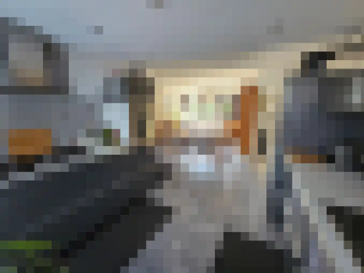 Proefpolder 4 98 Andijk thumbnail 6
