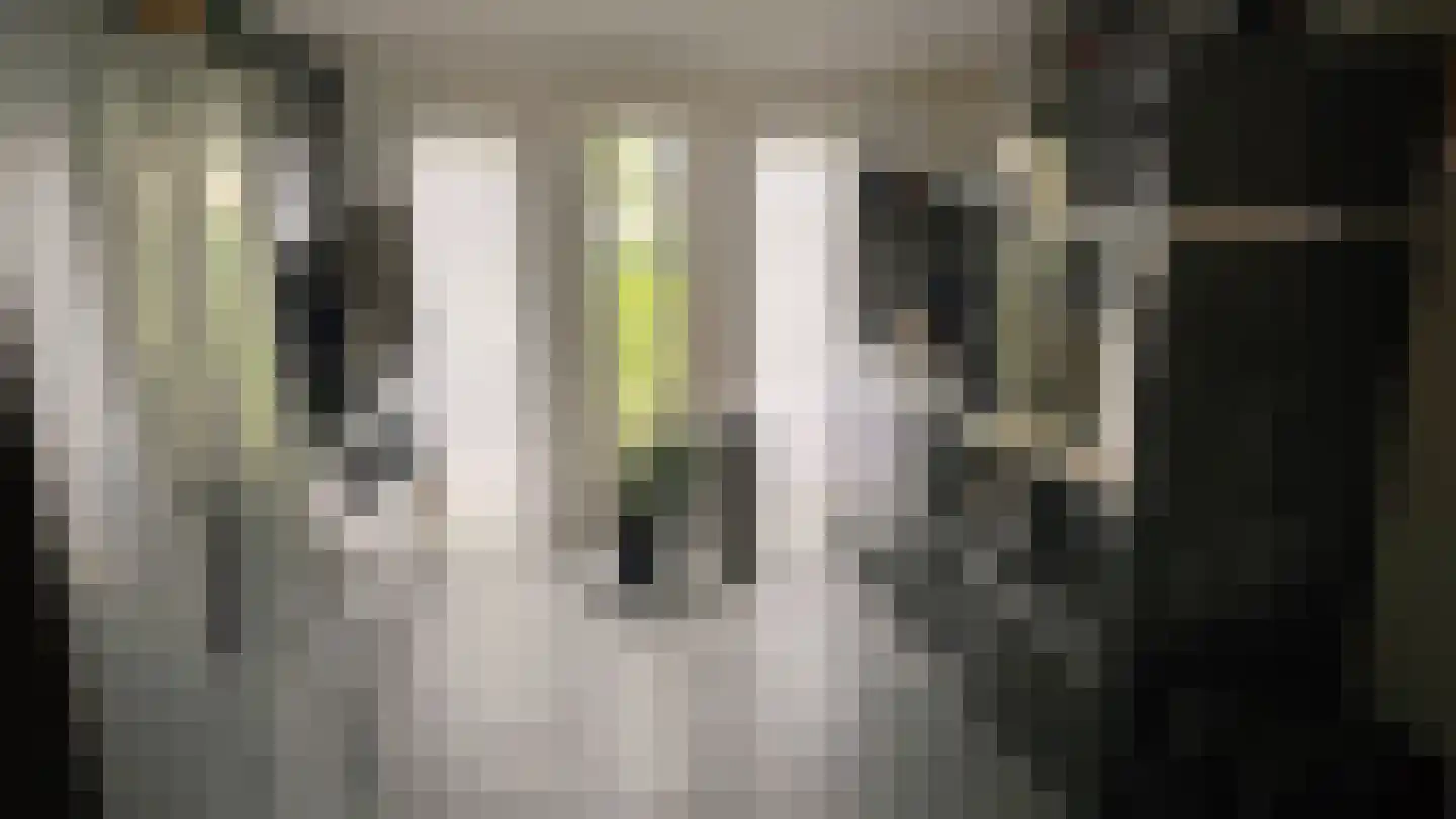 Proefpolder 4 98 Andijk thumbnail 8