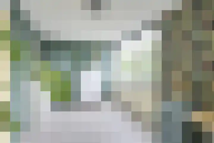 Proefpolder 83 Andijk thumbnail 8