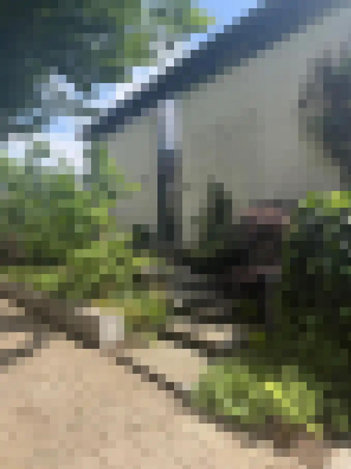 Proefsteen 18 Malden thumbnail 5